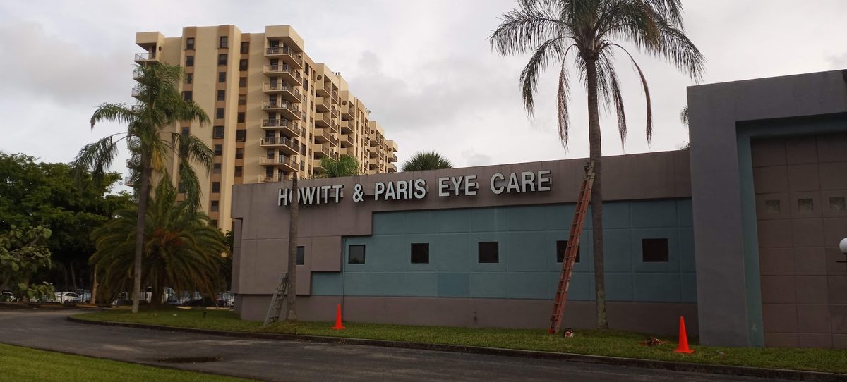 Commercial frontage palms kept tidy