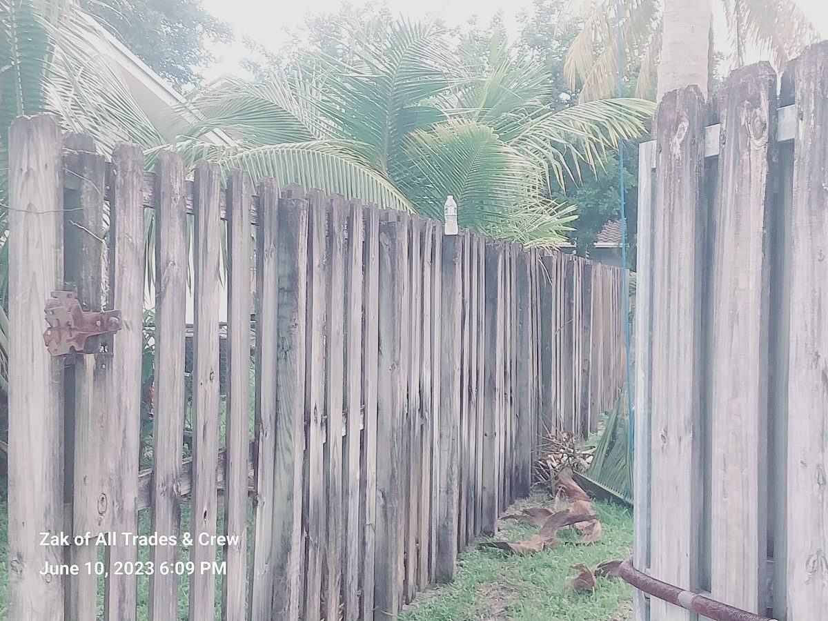 Fence line cleared of overgrowth